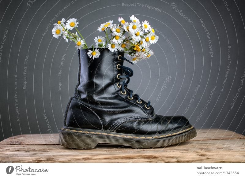 Stiefel mit Gaensebluemchen Pflanze Blume Blüte Wildpflanze Mode Schuhe außergewöhnlich einfach trendy schön lustig natürlich Originalität positiv blau gelb