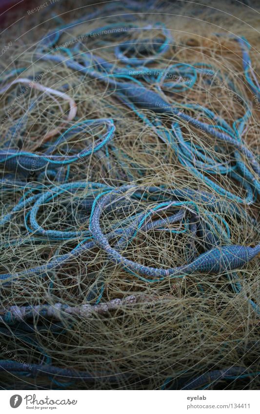 Lecker Bandsalat Seil Nylon Fischernetz Fischereiwirtschaft Meer See Arbeit & Erwerbstätigkeit sortieren durcheinander Knoten Küste trocknen aufhängen Ernährung