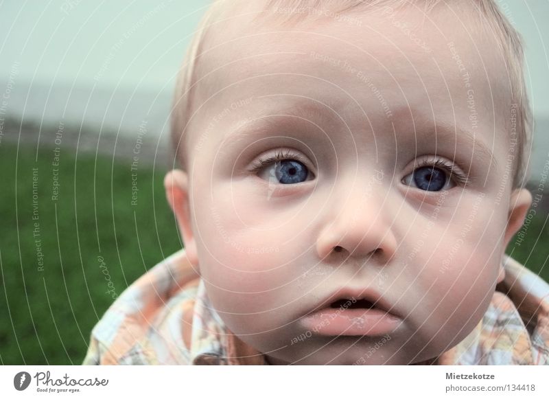 "Was ist daaas???" Baby Kind Neugier Porträt Wissenschaften Kleinkind Kommunizieren entdecken blaue Augen erster Kontakt