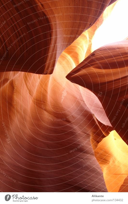 Brennpunkt Antilopen Schlucht Amerika USA Arizona Formation rot gelb elegant fantastisch Licht fließen Stein feurig erstarren Gefühle Respekt erhaben Page