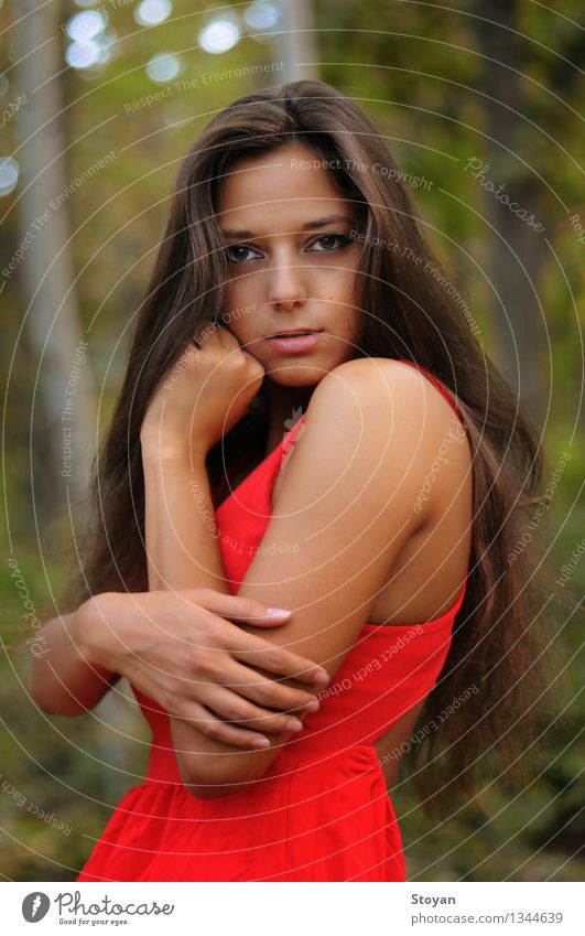 stilvolles Modell im roten Kleid im Wald feminin Junge Frau Jugendliche Haut Kopf Haare & Frisuren Arme Hand 1 Mensch 18-30 Jahre Erwachsene Tänzer Natur Baum