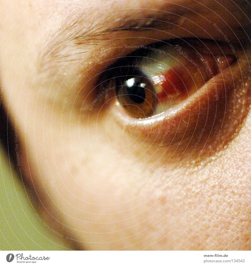 auf auge Gefäße Gesundheitswesen braun rot Optiker Krankheit Ekel Auge Blut blutunterlaufen schägerei äderchen geplatz Blick im blick notaufnahme augenlicht