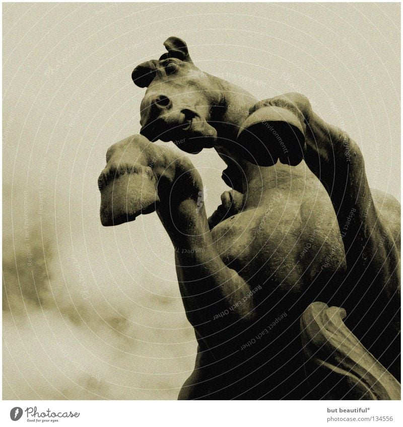 sarpedon° Pferd Paris gefährlich Statue Wolken Macht Verkehrswege Angst bedrohlich Bedrohnung Schwarzweißfoto scwarz & weiß Hufen gewaltig gigantisch