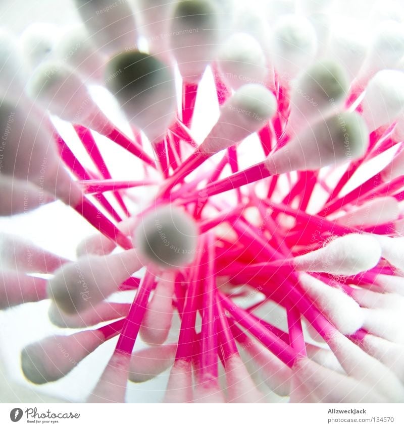 Q-tip Mikado [400] Wattestäbchen Essstäbchen durcheinander mehrfarbig rosa weiß unordentlich Makroaufnahme Nahaufnahme Bad ohrenputzer saubermacher