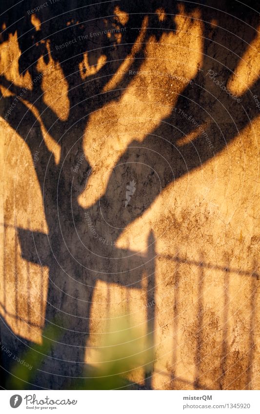 The Past. Kunst Kunstwerk ästhetisch Baum Baumstamm Wand Schatten Sonnenuntergang Perspektive Park Natur Stadt Schattenspiel Schattenseite mediterran Farbfoto
