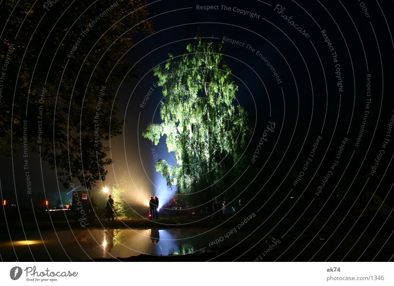 Birke Nacht Langzeitbelichtung Baum Gegenlicht dunkel Licht Freizeit & Hobby Fusion Musikfestival