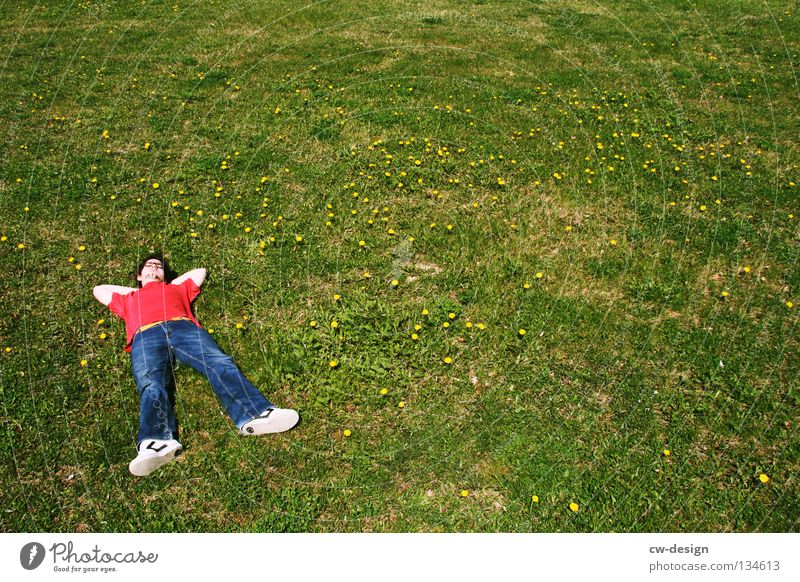 COME ON AND CHILL WITH ME II Erholung Schatten grün Fotograf Fotografieren rot schlafen Gras Halm Wiese Löwenzahn Kerl Mann maskulin Blume Atem Glas links