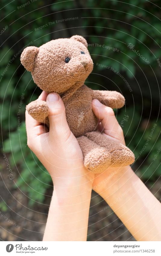 Kindergriff Teddybär Spielen Baby Mädchen Junge Kindheit Hand Spielzeug klein braun Bär Halt traurig jung eine Porträt