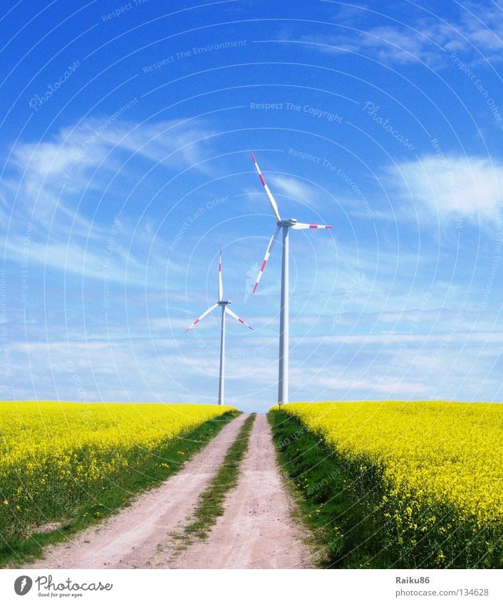 Erneuerbare Energien Sommer Sonne wandern Technik & Technologie Energiewirtschaft Sonnenenergie Windkraftanlage Natur Landschaft Luft Himmel Wolken Horizont