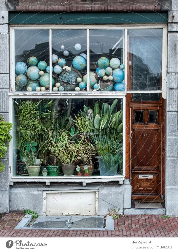 Globalisierung Amsterdam Stadt Haus Gebäude Fenster Tür Dekoration & Verzierung Sammlung Sammlerstück lustig nerdig retro trashig Globus Topfpflanze