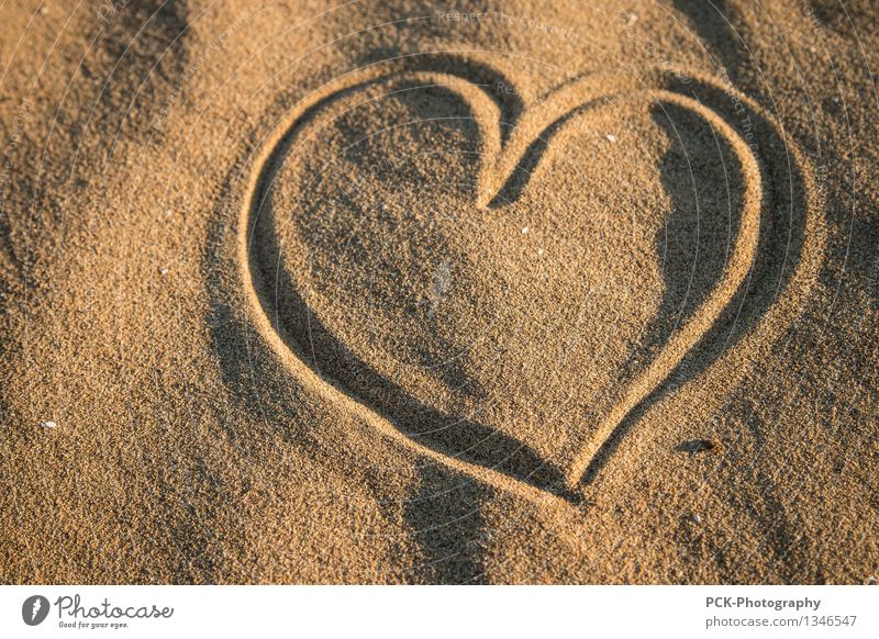 Herz in Sand Natur Frühling Sommer Herbst Küste Strand Oase gelb gold Gefühle Sympathie Freundschaft Liebe Verliebtheit Treue dankbar Frieden lieblich herzlich