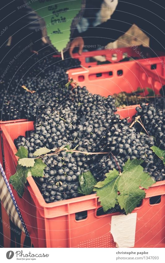 Hauptzutaten für Wein Lebensmittel Frucht Ernährung Bioprodukte Vegetarische Ernährung kaufen Gesunde Ernährung Landwirtschaft Forstwirtschaft Handel frisch