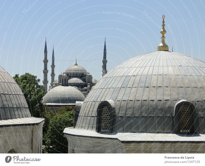 Kuppelwelten Ferne Sightseeing Städtereise Sommer Sonne Istanbul Türkei Hafenstadt Stadtzentrum Altstadt Skyline Menschenleer Architektur Moschee Grabmal Dach