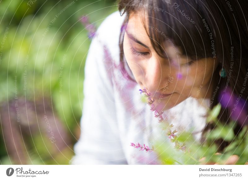 Letzten Düfte des Sommers feminin Kopf Gesicht Nase 1 Mensch 18-30 Jahre Jugendliche Erwachsene Natur Frühling Herbst Schönes Wetter Pflanze Blume Garten Park