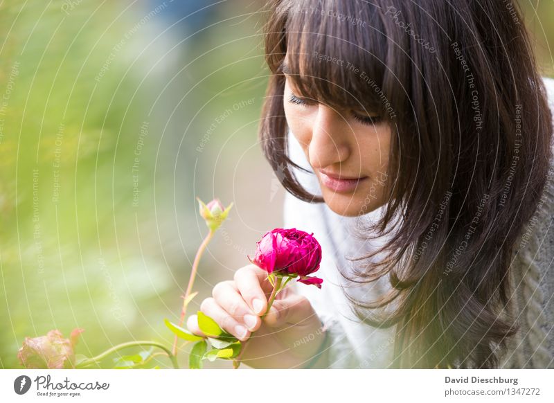 Duft der Rose feminin Junge Frau Jugendliche Kopf Gesicht Hand 1 Mensch 18-30 Jahre Erwachsene Pflanze Tier Frühling Sommer Herbst Schönes Wetter Blume Garten