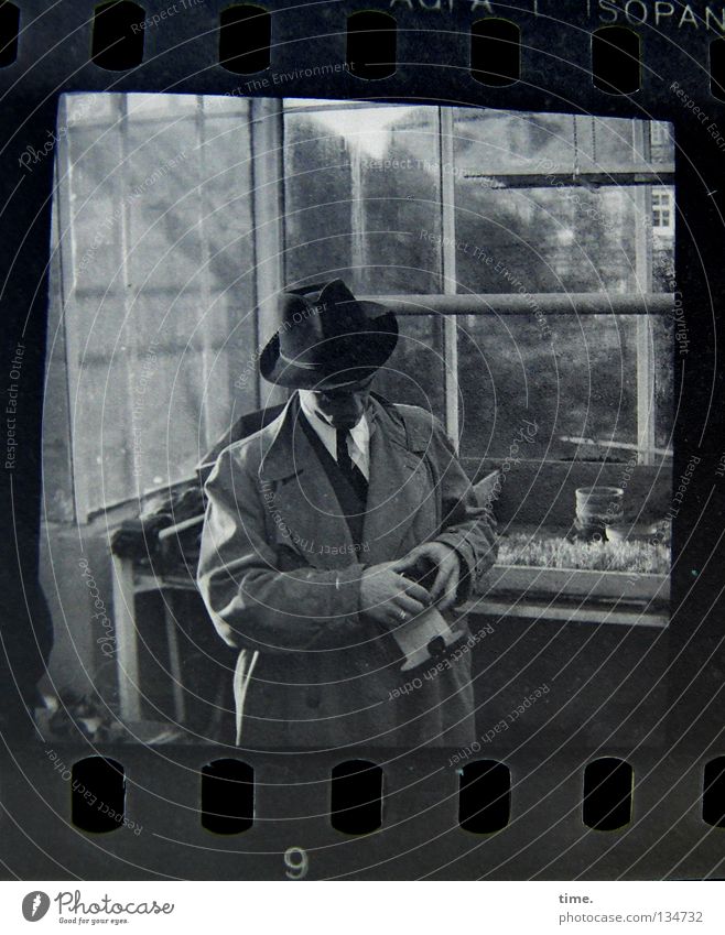 Mann in einer Gärtnerei Garten maskulin Erwachsene Hand Pflanze Fenster Mantel Krawatte Hut Glas wählen drehen Konzentration Rätsel Gewächshaus Fensterscheibe