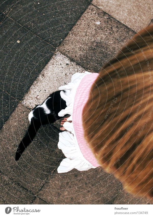 typisch mann Katze Frau Mädchen Sommer Miau süß Geschwindigkeit Bodenbelag Tüll Trauer Neugier Außenaufnahme Vogelperspektive Barfuß Freude Schwarzweißfoto