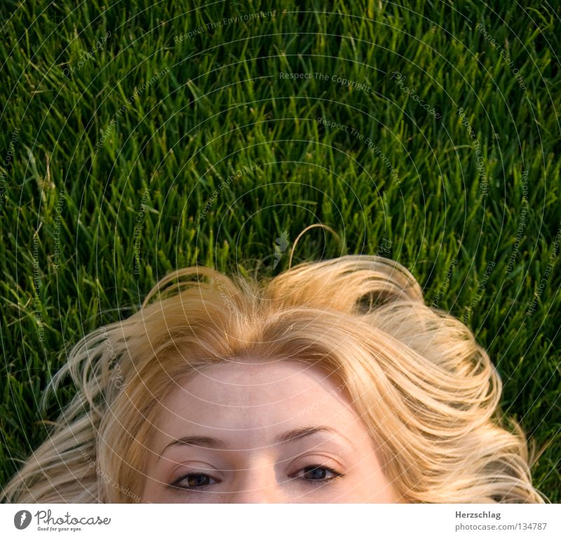 ich kann dich sehen Wiese grün Gras blond Vogel Sommer Anna Haare & Frisuren Auge beobachten Haut Perspektive