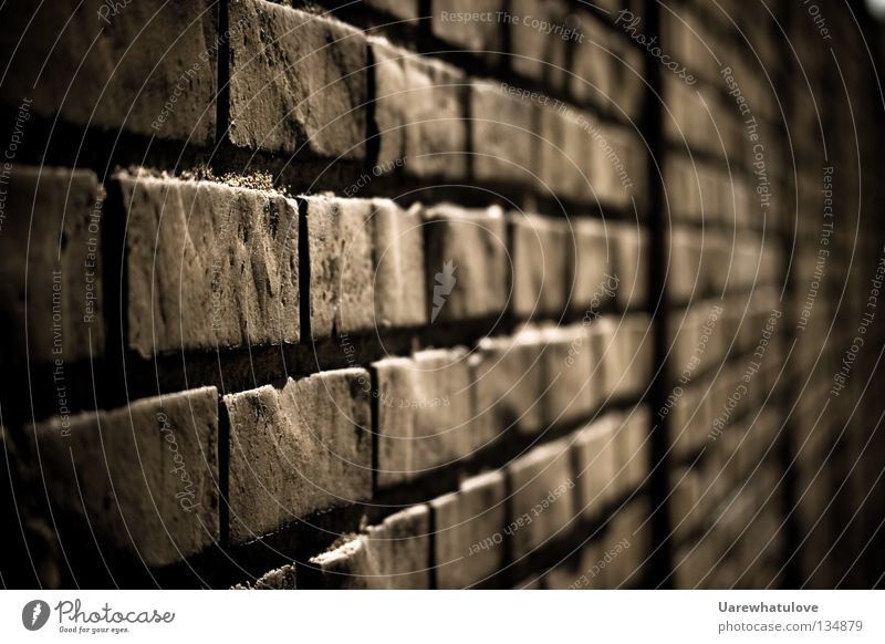 Walls of Jericho Wand Mauer Backstein hart kalt dunkel Barriere gefangen Unschärfe massiv Keller Fassade Sicherheit Stein Schmerz trist Gefühle Tod Einsamkeit