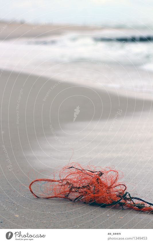 Strandgut Umwelt Natur Landschaft Sand Wasser Wind Nordsee Ostsee Meer Kunststoff Netz liegen authentisch einfach maritim nass braun grau orange ruhig