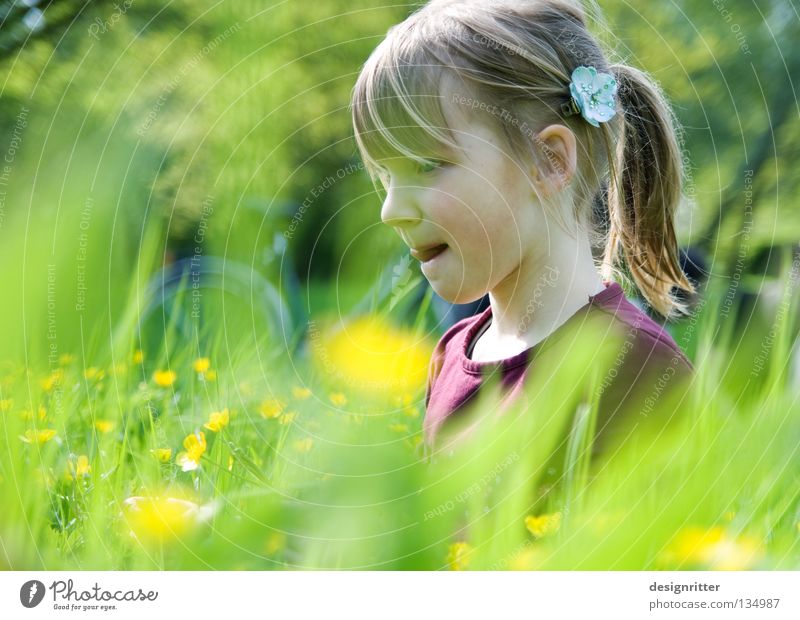 Lecker Butterblumen! Kind Mädchen Blume Frühling Sommer Physik Wiese Gras Gesundheit Pollen Blüte Tier Insekt Zecke verträumt träumen tauchen harmonisch Suche