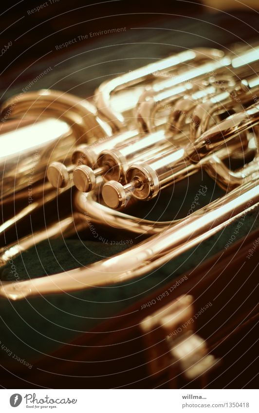 Ventile eines Musikinstruments, Blechblasinstrument, Bügelhorn Blechblasinstrumente Euphonium Baritonhorn Tuba Instrumentenkoffer gold Blasinstrument