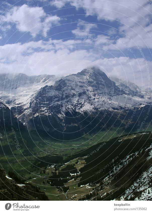Eiger Grindelwald Schweiz Wald Berge u. Gebirge Himmel Schnee Eis Tal