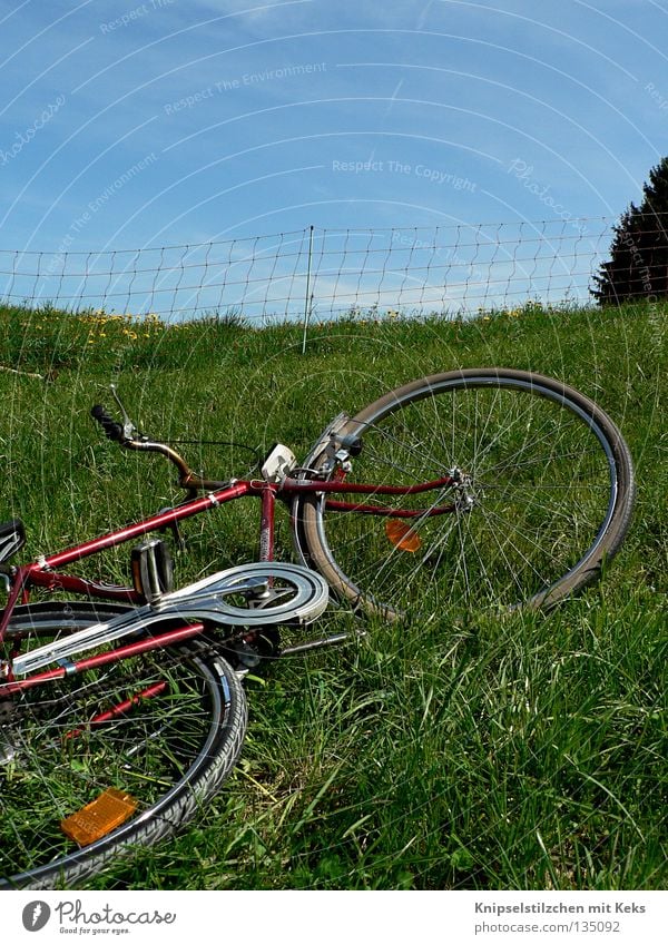 Wiederroller auf der Wiese Fahrrad Zaun Wiederkäuer Sommer Frühling Gras Ferien & Urlaub & Reisen Erholung Pedal grün Verkehr liegen Ausflug Rolle eingezäunt