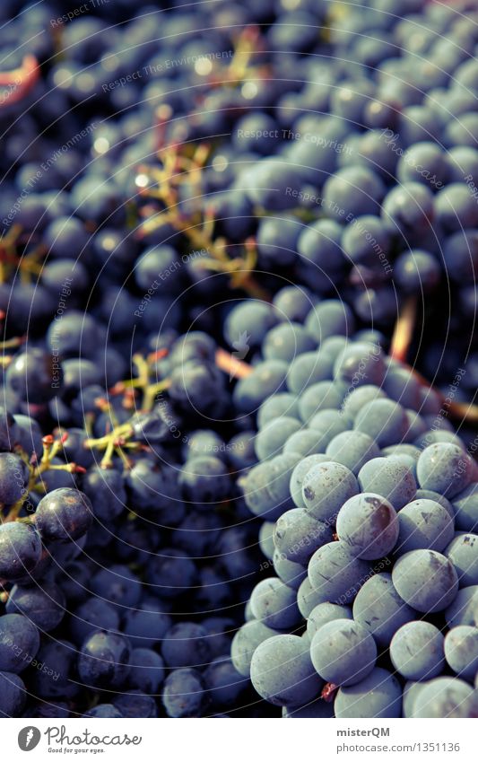 Sangiovese I Lebensmittel Frucht Ernährung Umwelt ästhetisch Wein Weinberg Weinbau Weintrauben Weinlese Weingut viele lecker Ernte Farbfoto Gedeckte Farben