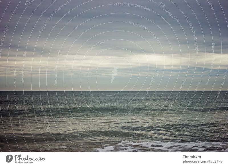 Man wird sehen. Ferien & Urlaub & Reisen Umwelt Natur Urelemente Wasser Himmel Wolken Sonnenlicht Wetter Wellen Nordsee Dänemark ästhetisch blau grau Farbfoto
