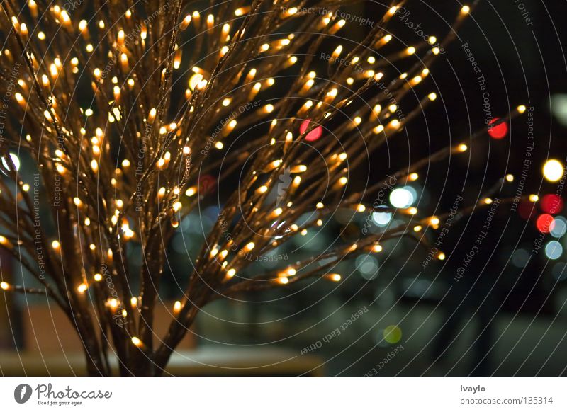 Light tree Licht festlich filigran Reaktionen u. Effekte Außenaufnahme Dekoration & Verzierung ""baum"" Weihnachten & Advent gestellt Abend Straße