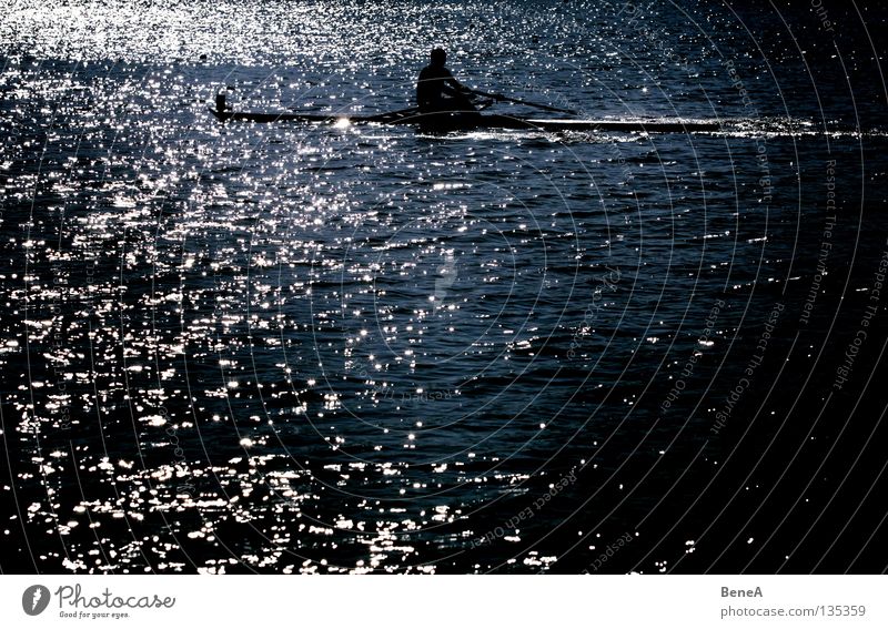 Waterboy Rudern Ruderer Wasserfahrzeug See Meer Gewässer grün schwarz weiß dunkel Gegenlicht Paddel Sommer Erfrischung Sport Wassersport Morgen Sonnenlicht