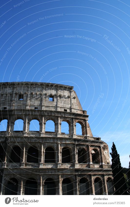 Gebrochener Koloss Farbfoto Außenaufnahme Textfreiraum oben Sonnenlicht Vorderansicht Bildung Kunst Kultur Bauwerk historisch kaputt Rom Europa Italien antik