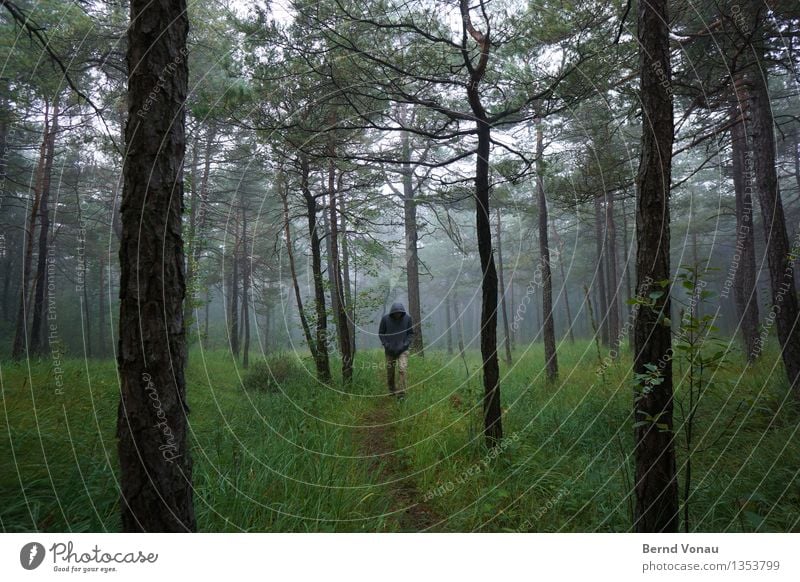 verlaufen Mensch maskulin Mann Erwachsene 1 45-60 Jahre Umwelt Natur Landschaft Pflanze Herbst schlechtes Wetter Nebel Baum Gras Sträucher gehen wandern Gefühle