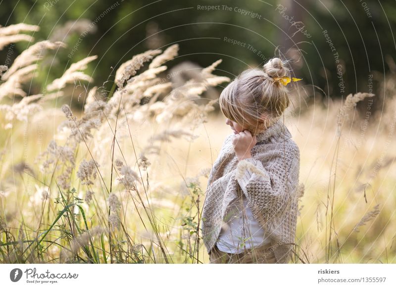 der Herbst ist da! Mensch feminin Kind Mädchen Kindheit 1 3-8 Jahre Umwelt Natur Pflanze Schönes Wetter Wind Gras Wald entdecken Erholung festhalten Lächeln