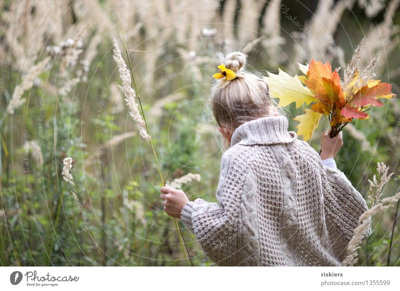 Herbstschätze sammeln Mensch feminin Kind Mädchen Kindheit 1 3-8 Jahre Umwelt Natur Pflanze Gras Blatt Wald entdecken festhalten Blick wandern Freundlichkeit
