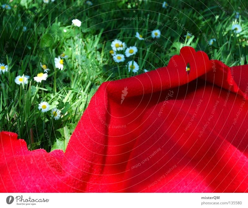 Picknick. Willste mit auf meine Decke? Sommer Physik rot Knall knallig verrückt Farbe stark grün Natur frei Freiheit Freibad Baggersee Teich Pfütze wenige