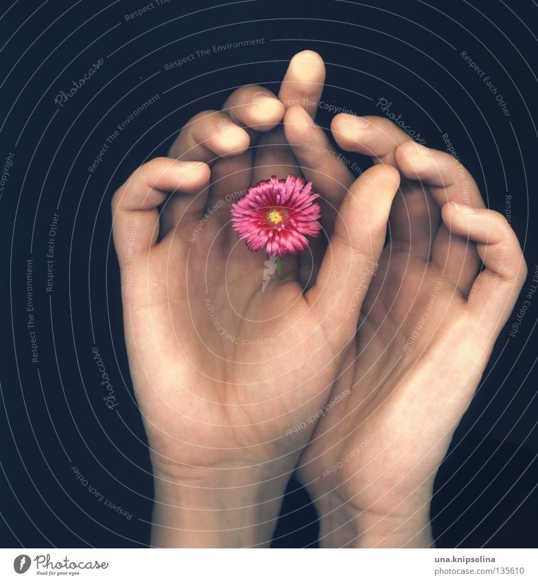 ..fleur Hand Finger Blume Blüte berühren Gefühle Scanner Intuition Gefäße Fingerabdruck Fototechnik scan-art fingerspitzen Blattadern Farbfoto Studioaufnahme