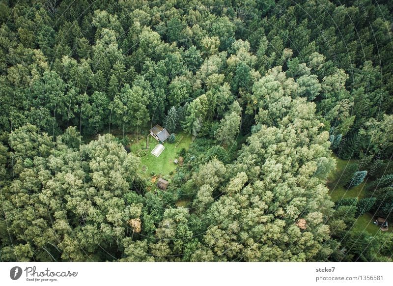 Oben Wald Einfamilienhaus Hütte Garten entdecken grün Einsamkeit einzigartig Natur Überleben Versteck Einsiedler Luftaufnahme Menschenleer Textfreiraum links