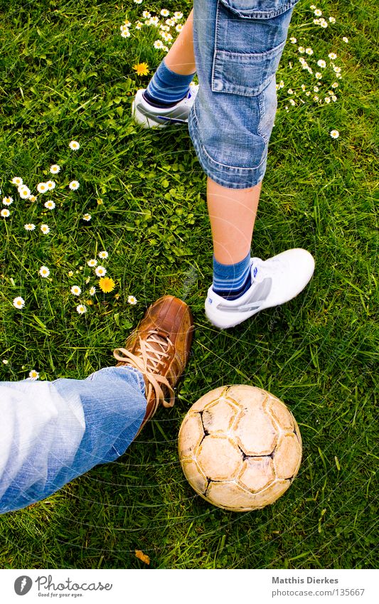 Zweikampf Ballsport Sommer Wiese Gänseblümchen Pflanze grün Grünstich Hose Jeanshose Schuhe Lederschuhe Fußball Freizeit & Hobby spontan Sport Luft Duell