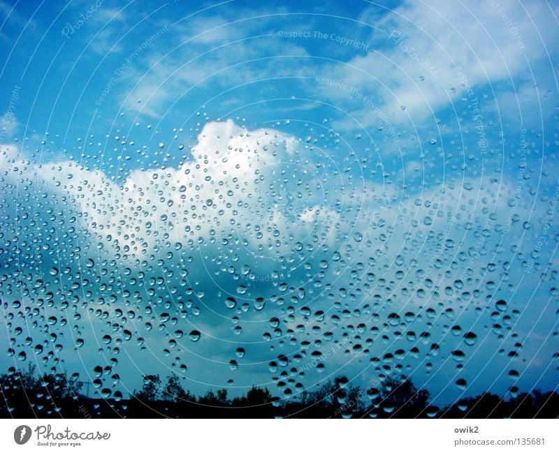 April Fensterscheibe Durchblick Blick durchsichtig nass benetzt Regen Wetterumschwung rollen Wassertropfen Wolken Kumulus himmelblau Horizont Baumkrone