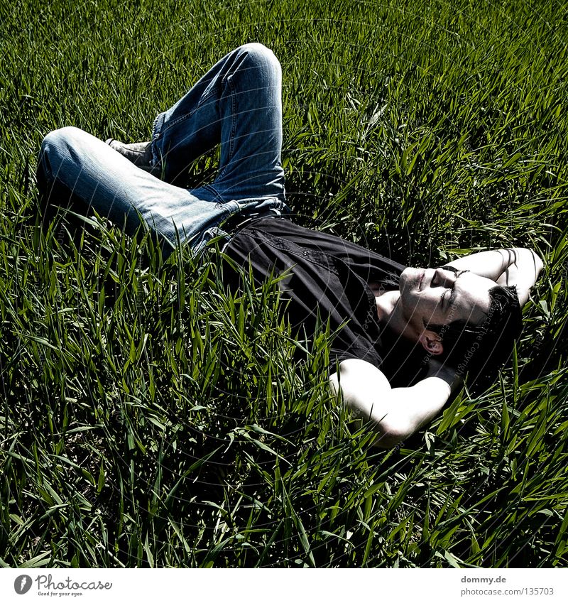 chillout Mann Kerl Gras Feld Sommer Erholung Hose Hemd dunkel grün schlafen Sonnenbad Luft frisch unberührt Jeanshose hell face skin Haut Natur