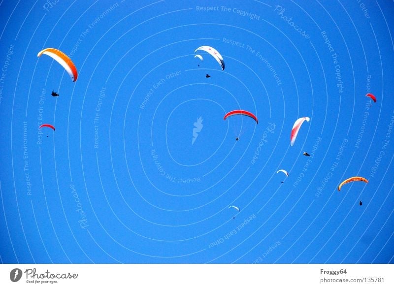 Geflügel Gleitschirm Luft Wolken Pilot schwarz Schauinsland Vogel Sportveranstaltung mehrfarbig Spielen Extremsport Luftverkehr Himmel blau orange Wind Wetter
