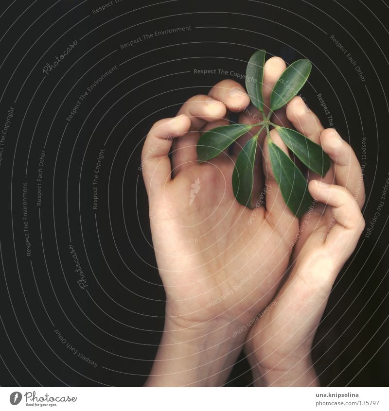 .leaf Hand Finger Natur Pflanze Linie berühren grün Gefühle zart Zärtlichkeiten Intuition Fingerabdruck Spuren Scanner Fototechnik fingerspitzen andern scan-art