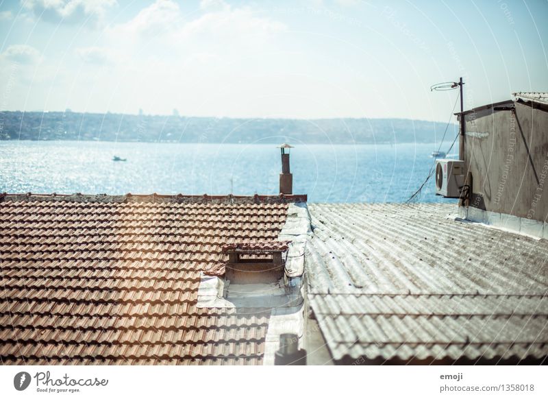 über den Dächern Istanbuls Umwelt Natur Himmel Sommer Schönes Wetter Meer Stadt Stadtrand Haus Hütte Dach natürlich blau Farbfoto Außenaufnahme Menschenleer Tag