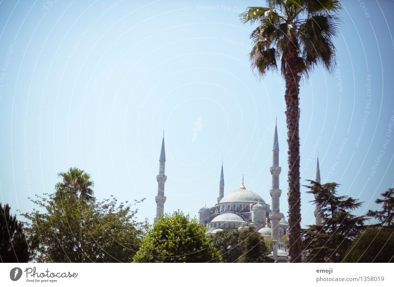 Istanbul Natur Schönes Wetter Stadt Hauptstadt Moschee Sehenswürdigkeit außergewöhnlich Naher und Mittlerer Osten Tourismus Ferien & Urlaub & Reisen