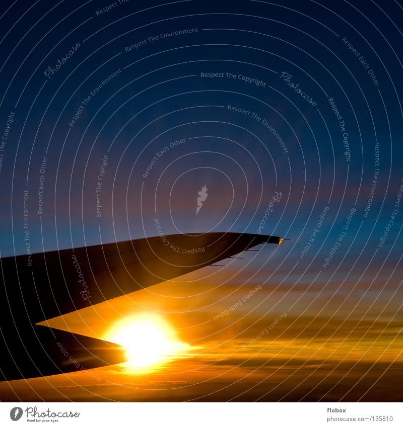 Burning über den Wolken Sonnenuntergang Flugzeug Tragfläche Triebwerke Fensterplatz mehrfarbig grell brennen Fluggerät Luft Eis Physik kalt heiß Motor Maschine