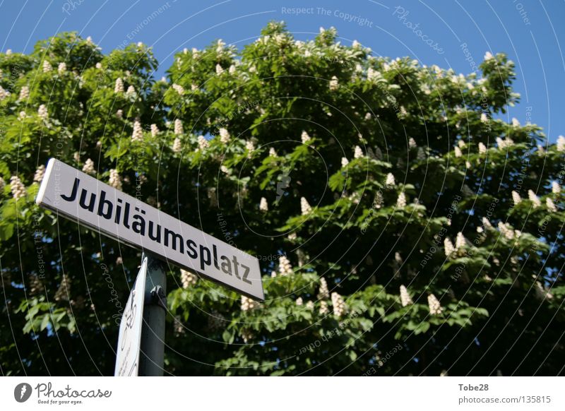 Der Platz für's Jubiläum Straßennamenschild Heidelberg Frühling Jubiläumsplatz Schilder & Markierungen anniversary