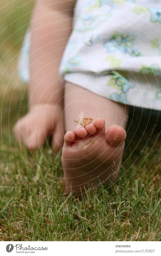 moos-an-fuß Farbfoto mehrfarbig Außenaufnahme Sommer Kind Mensch Baby Kleinkind Arme Hand Beine Fuß 1 0-12 Monate 1-3 Jahre Frühling Gras Wiese Kleid sitzen