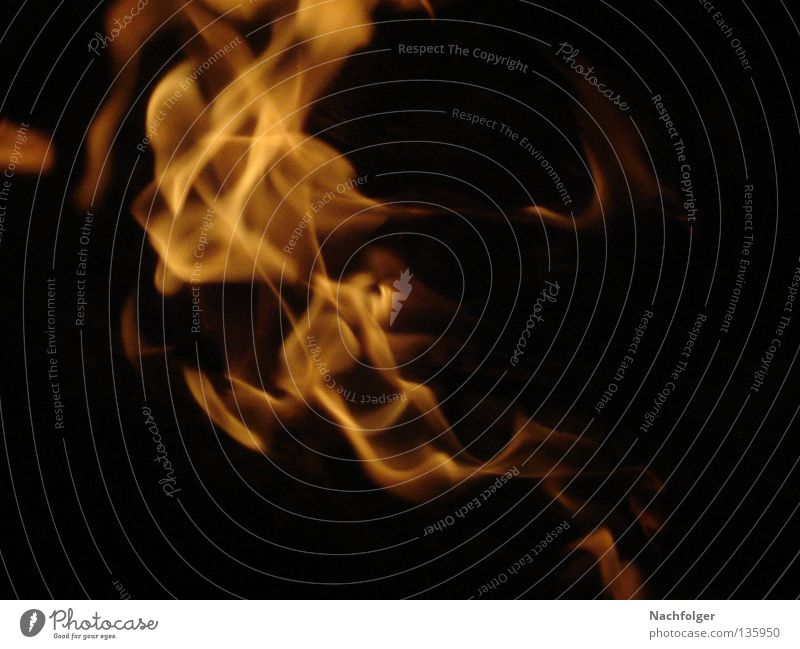Flames Brand brennen Physik heiß Feuer Flamme flames burn Wärme
